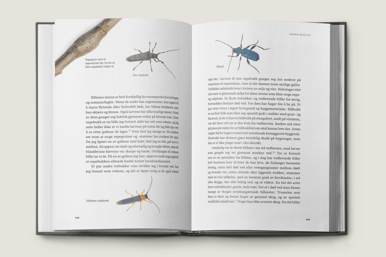 Book case insekteneihagen08